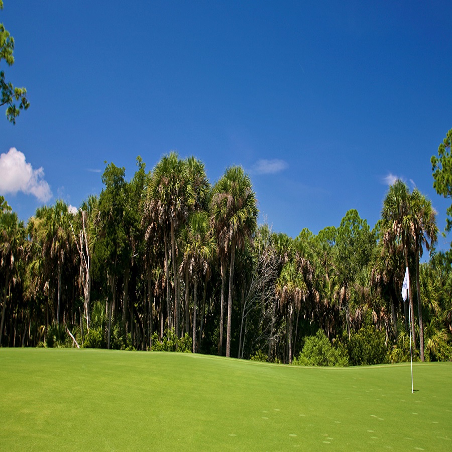 hammock creek golf club