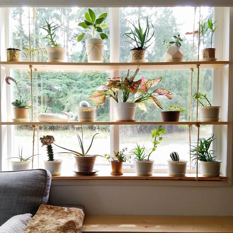 diy window plant shelf