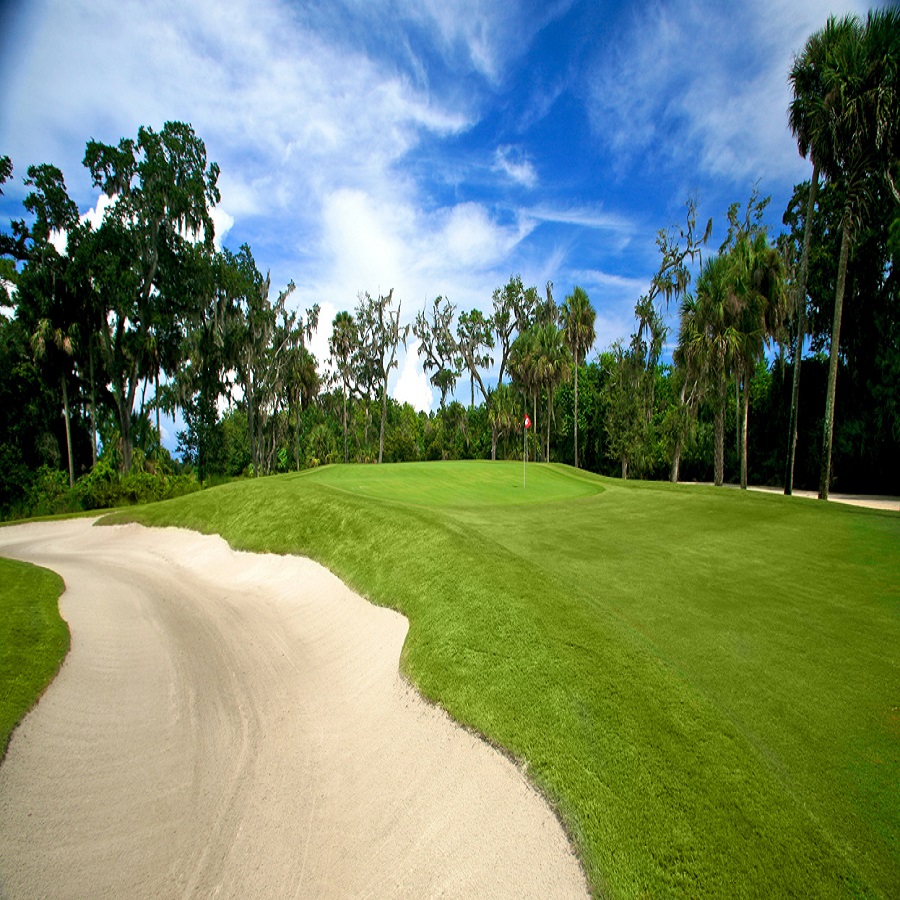 hammock creek golf club