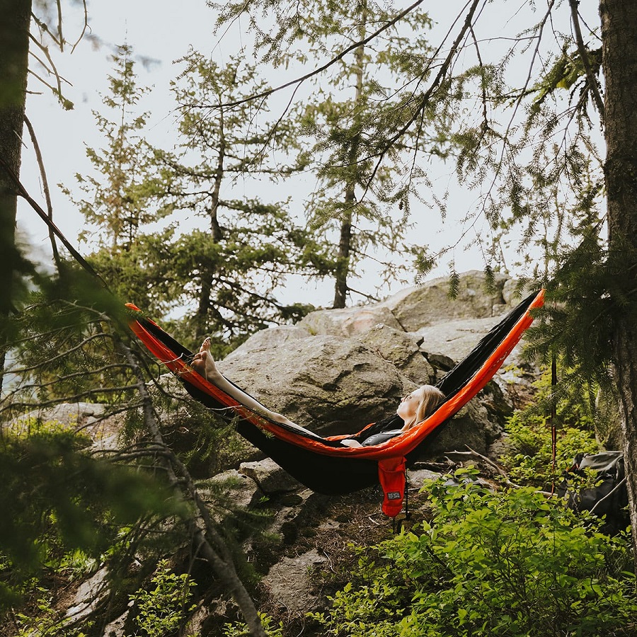 dotzilla hammock