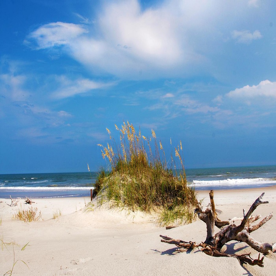 hammock beach state park