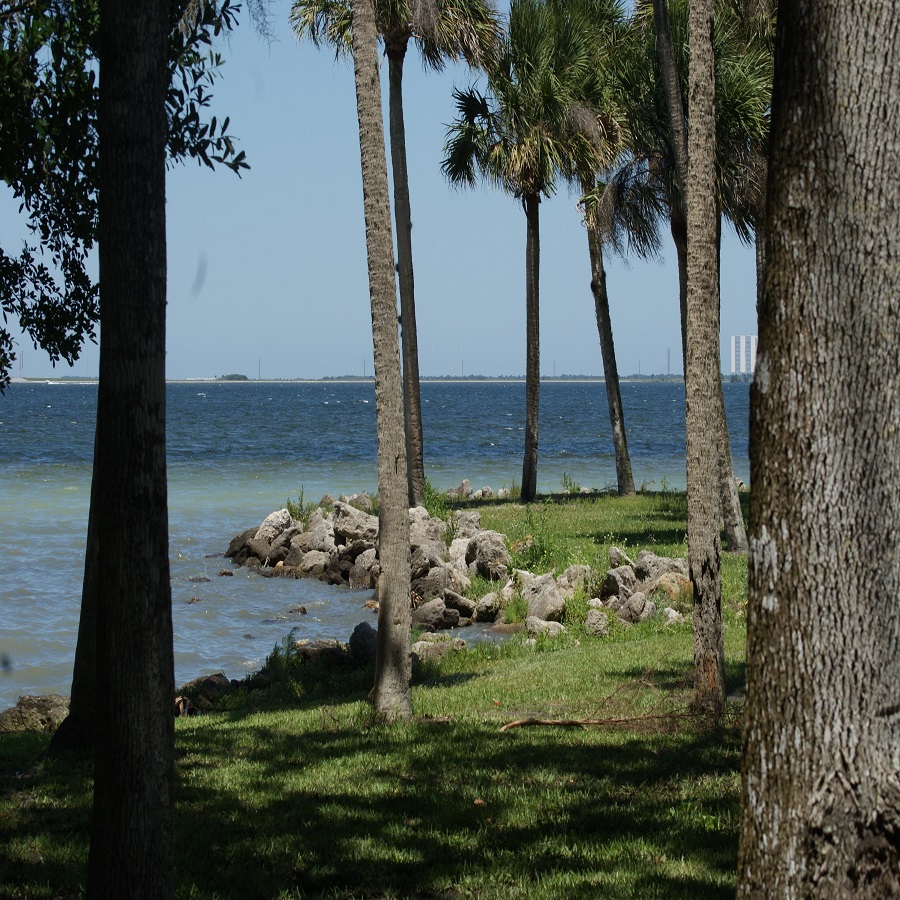 manatee hammock