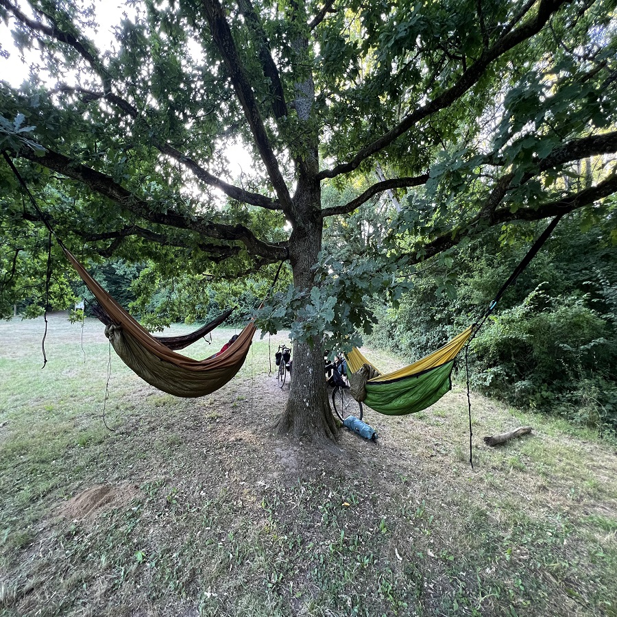 how to hang a hammock from a tree