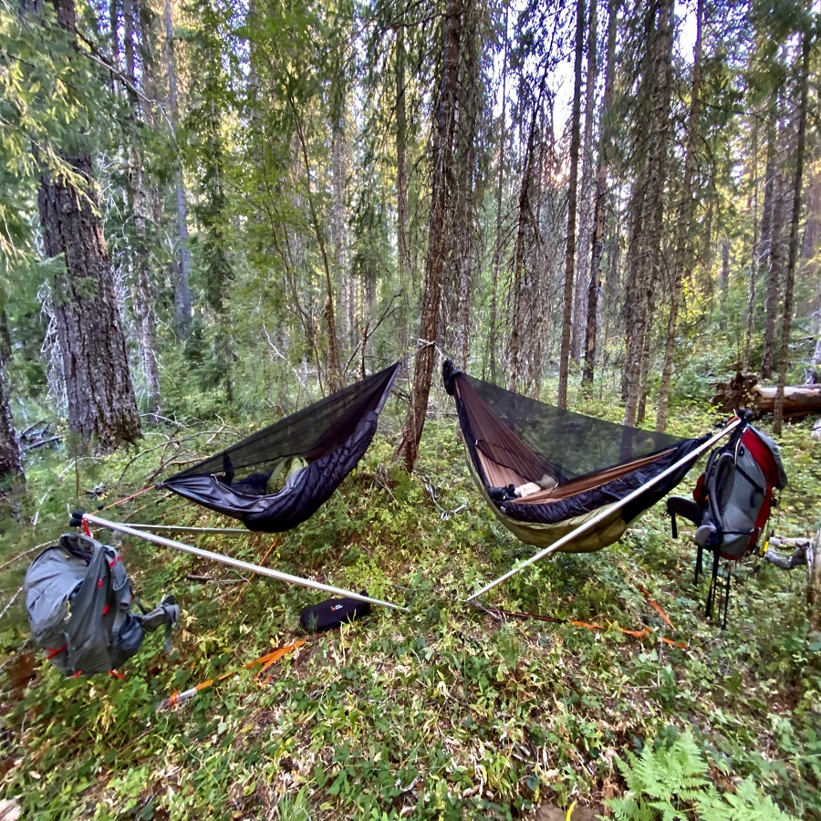 how to hang a hammock from a tree