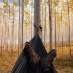 Efficient Ways to Hang Hammocks from Trees